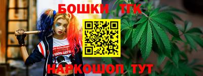 дмт Заводоуковск