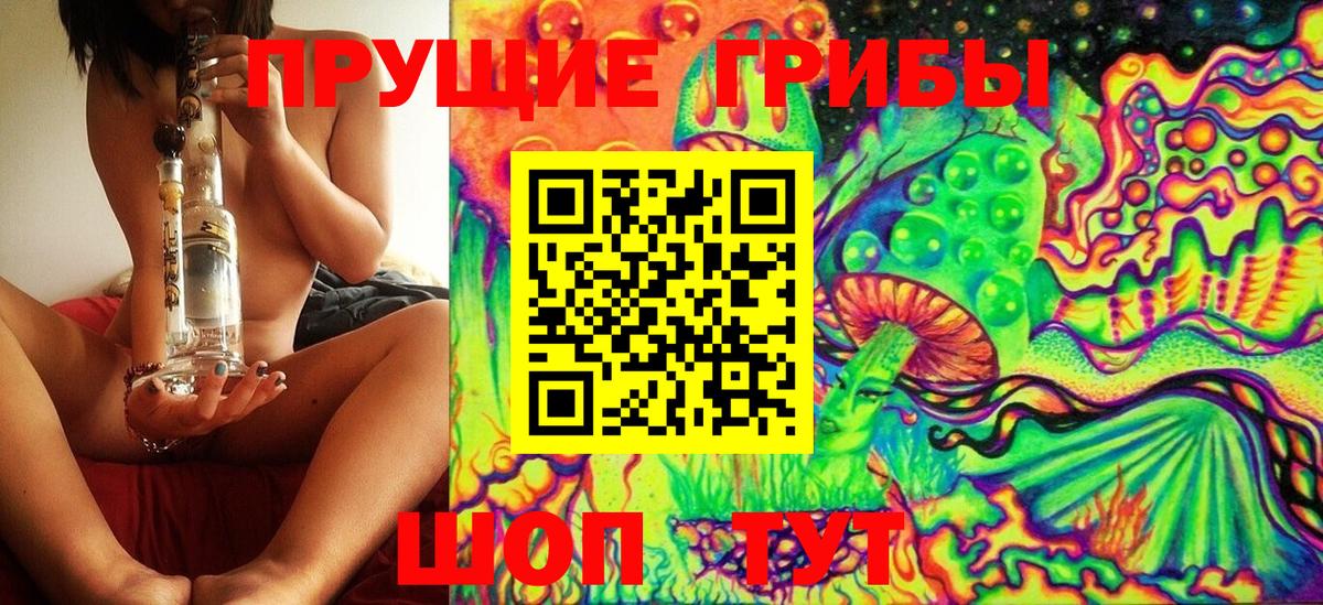 Псилоцибиновые грибы Psilocybe Красноярск